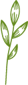 Image icon