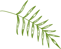 Image icon