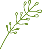 Image icon