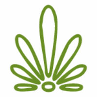 Image icon